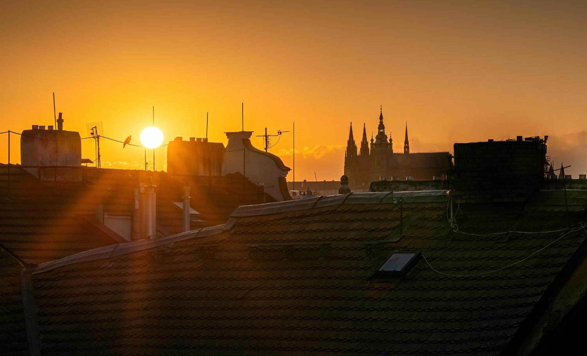Michal&michael's Praga